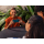 MOTOROLA moto g77 5G 8/128GB Shaded Spruce 120Hz - 1517054 - zdjęcie 12